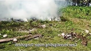 Investigation with fires in siberialbfoya