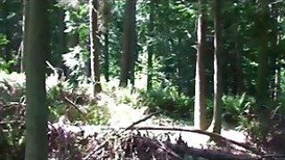 Fucking my stepbrother in the woodsrdqk1xwa