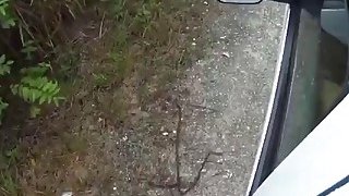 Innocent girl destroyed with big dick