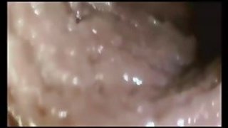 Journey to the inside of the pussy