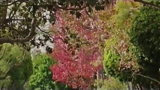 Married couple seduces babysitter1