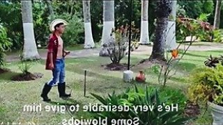 Horny friends fuck the gardenerdzyjuu